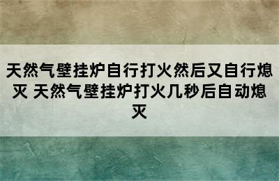 天然气壁挂炉自行打火然后又自行熄灭 天然气壁挂炉打火几秒后自动熄灭